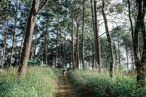 BIB: 
                            <button type="button" onclick="openModal(25657530)" class="btn btn-primary btn-sm float-right btn-popup" data-toggle="modal" data-target=".modal-high-quality">
                        <i class="fas fa-shopping-cart"></i> Add to Cart
                    </button>
                                            <button type="button" onclick="isThisMe(25657530, true)" class="btn btn-success btn-sm float-right btn-popup btn-isme hidden" data-toggle="tooltip" data-placement="bottom" title="นี่คือรูปของคุณใช่ไหม คลิกที่นี่เพื่อเอาเข้าอัลบั้ม">
                        <i class="fas fa-plus"></i> Add to album
                    </button>
                    <button type="button" onclick="isThisMe(25657530, false)" class="btn btn-warning btn-sm float-right btn-popup btn-isnotme hidden">
                        <i class="fas fa-ban"></i> Remove from album
                    </button>